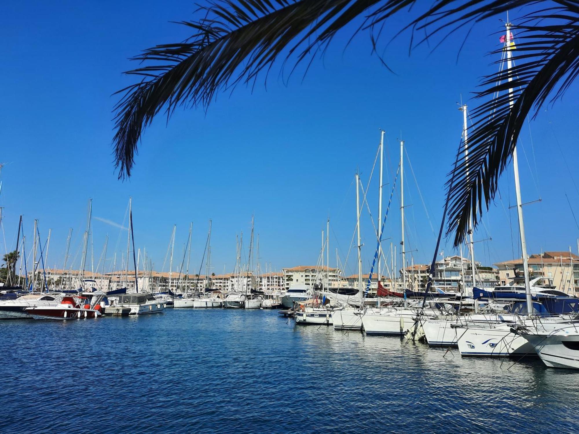 شقة Coeur Marina Climatise Terrasse Parking Fréjus المظهر الخارجي الصورة
